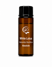 Load image into Gallery viewer, White Lotus Absolute