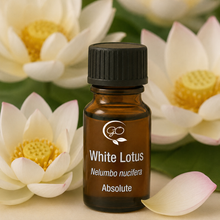 Load image into Gallery viewer, White Lotus Absolute